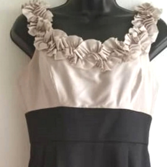 Maggy London |  Sophisticated Black and Beige Cocktail Dress - Picture 6 of 8